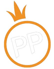 pp电子Logo